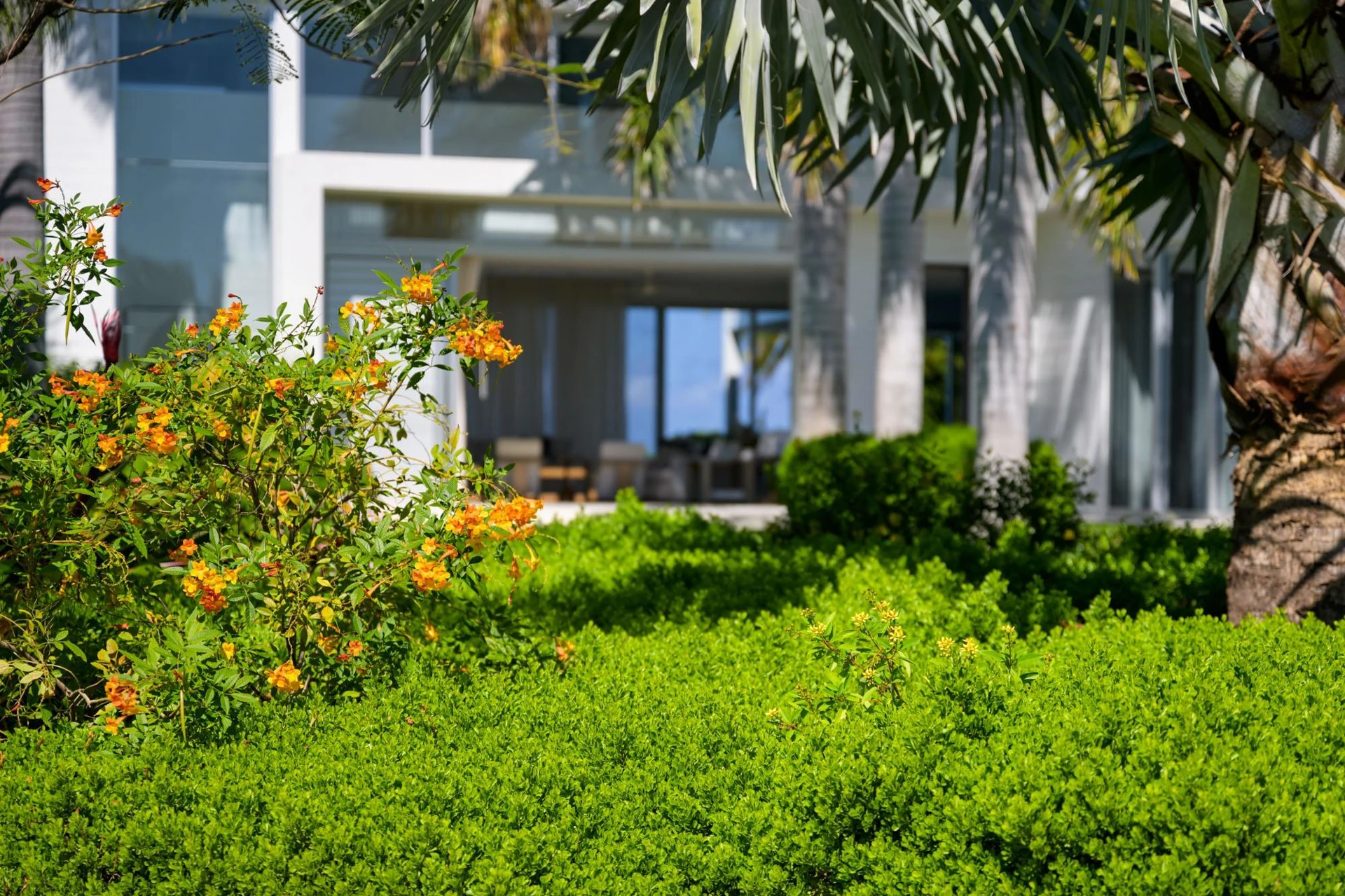 Beach Enclave Grace Bay - Villa 2 - Gallery image 46