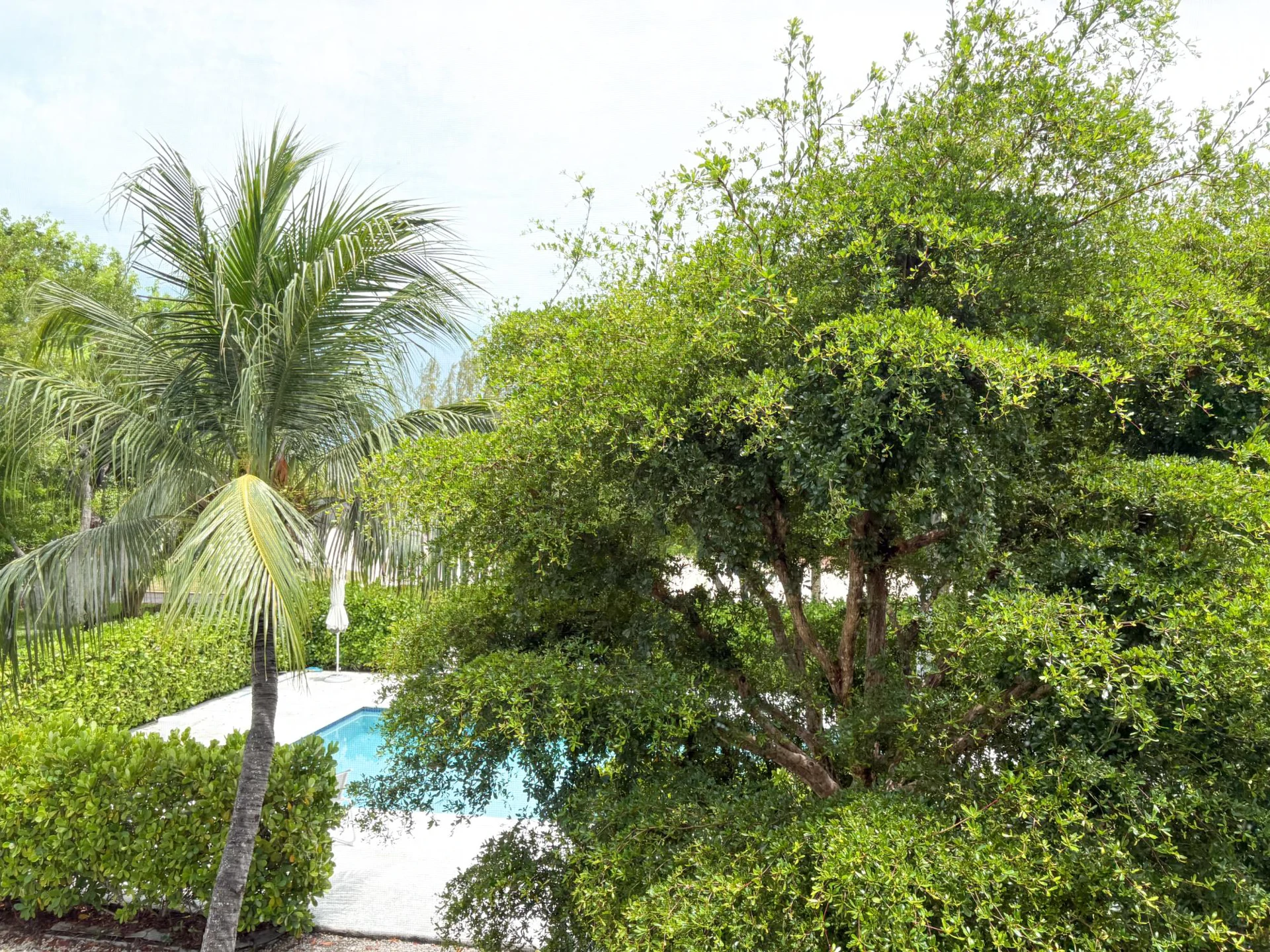 The Retreat - Gallery image 11