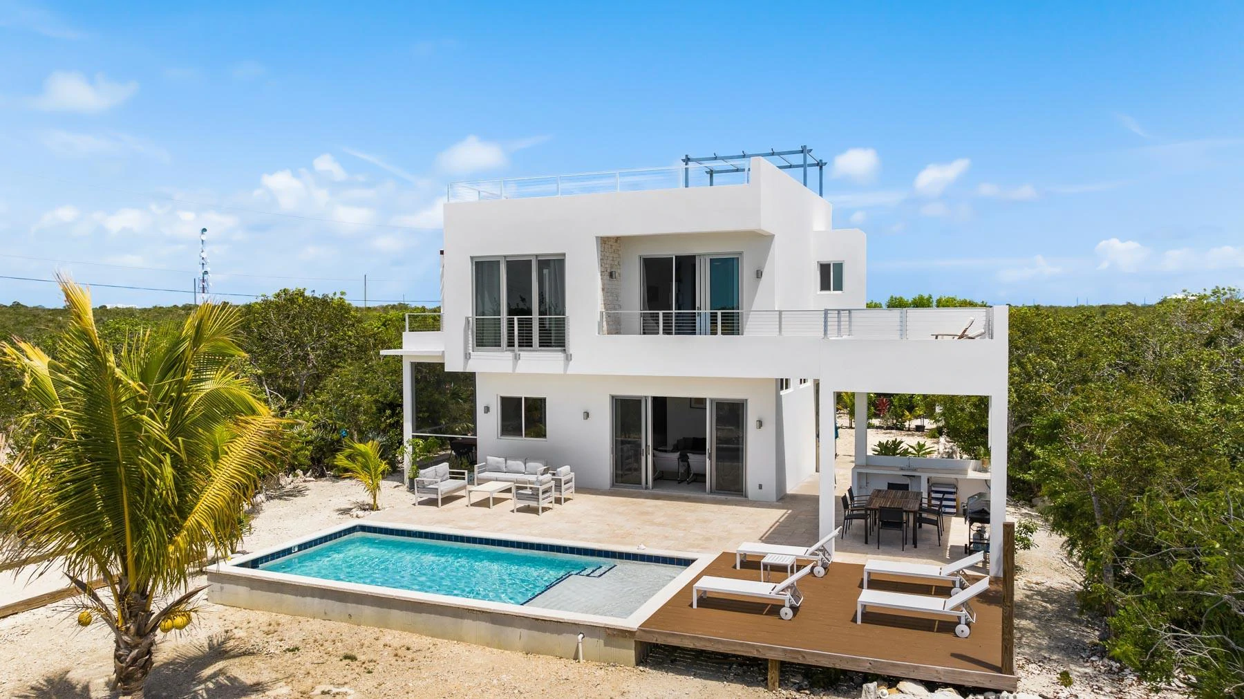 Blue Lotus & Golden Lotus - Gallery image 3