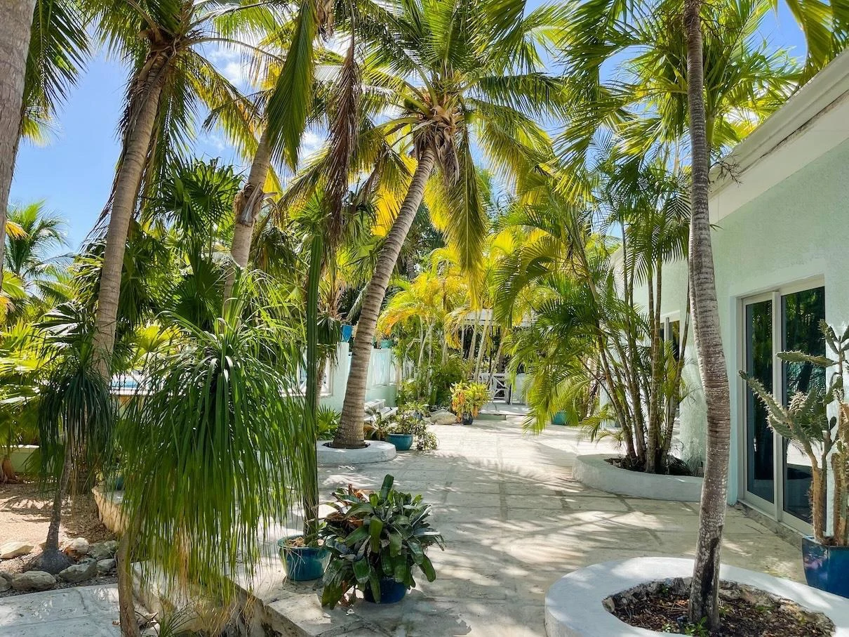 VILLA TROPICA SANDPIPER AVENUE-LEEWARD - Gallery image 20