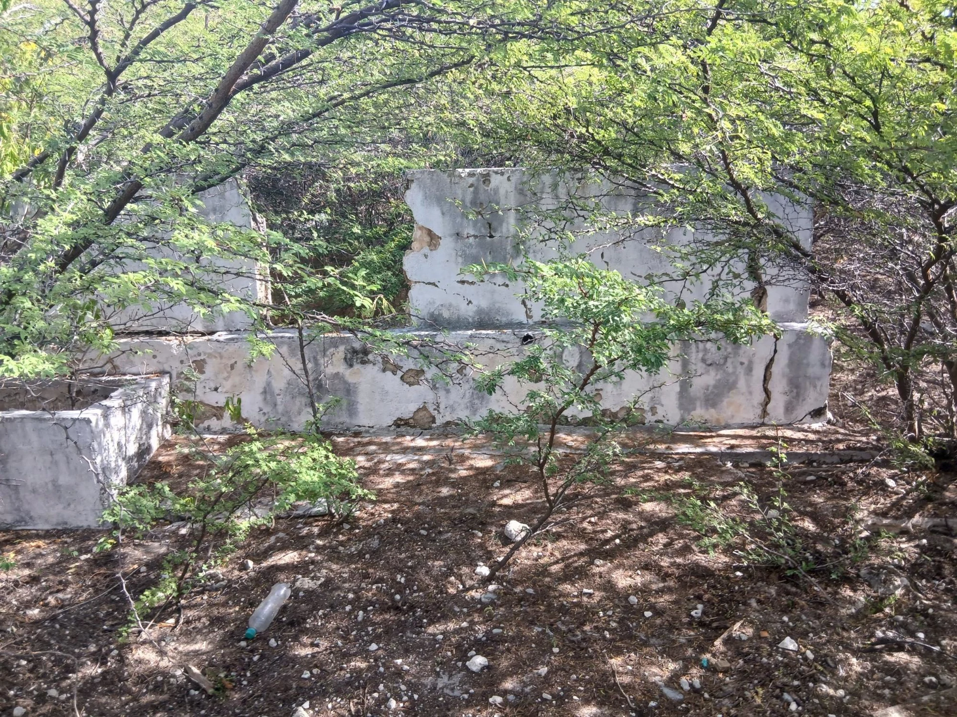 Salt Cay Cottage - Gallery image 9