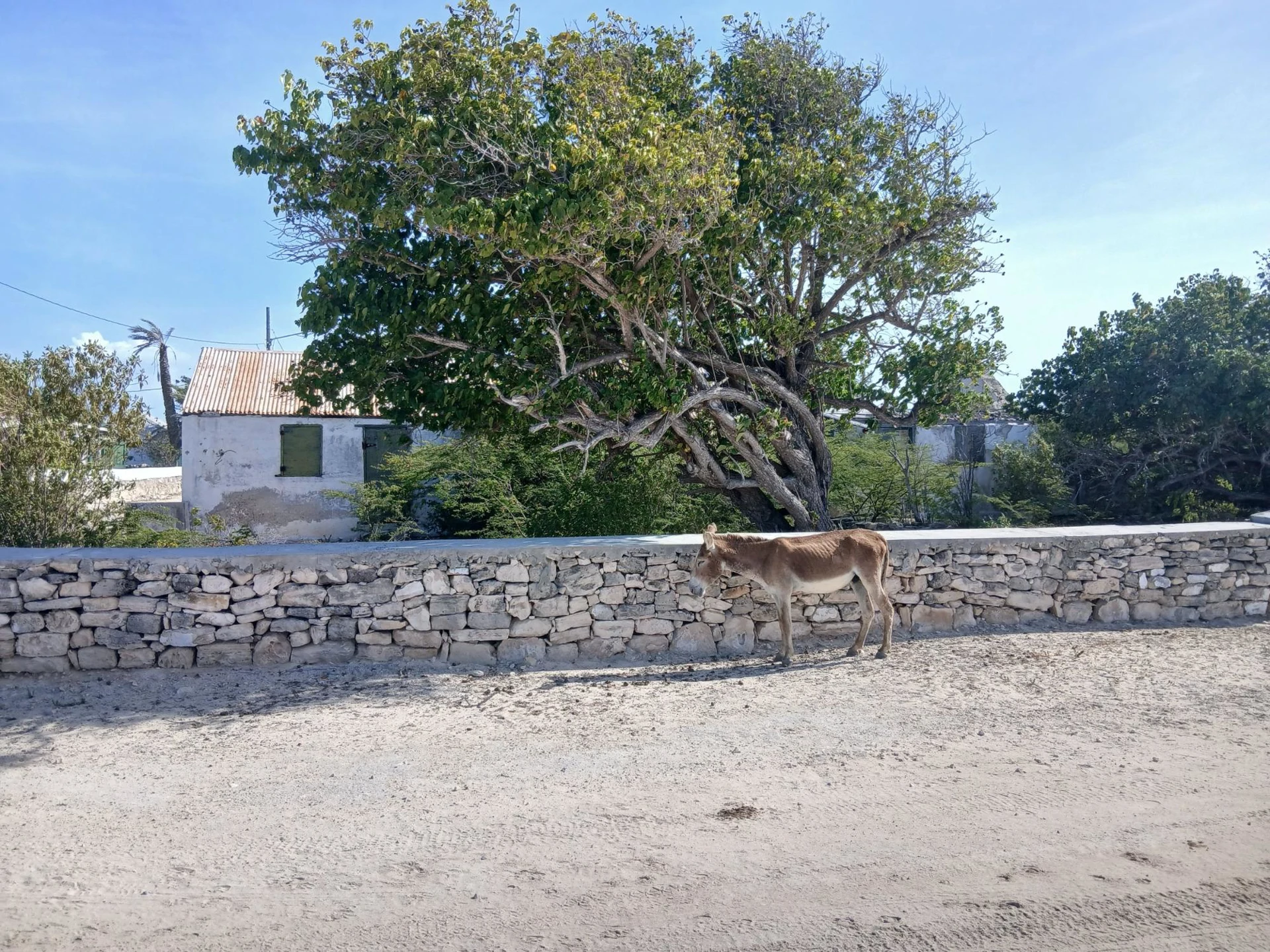 Salt Cay Cottage - Gallery image 10