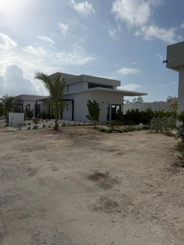 COVE ESTATES - CURIOSITY - Gallery image 3