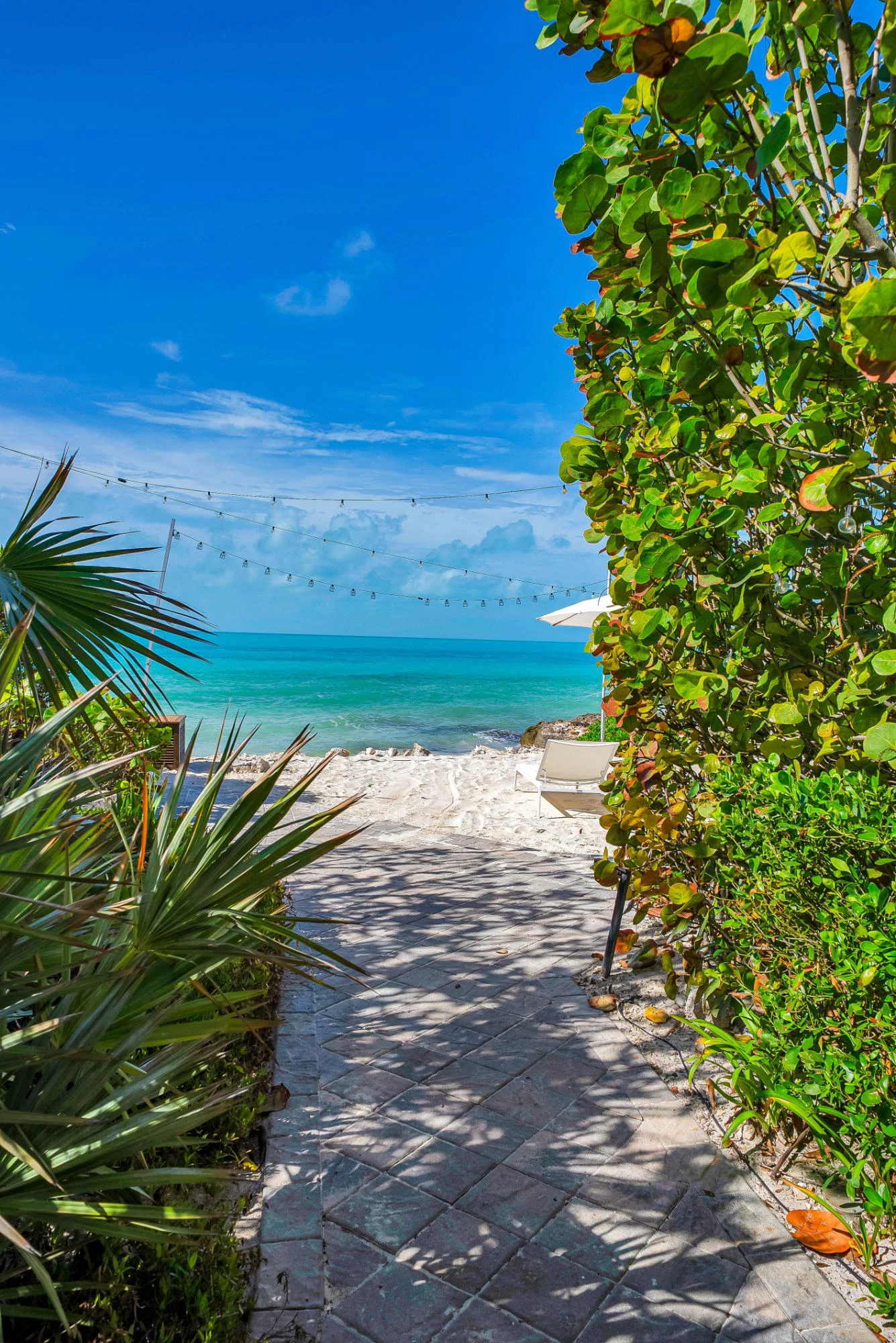 Turtle Tail Estate - Gallery image 16