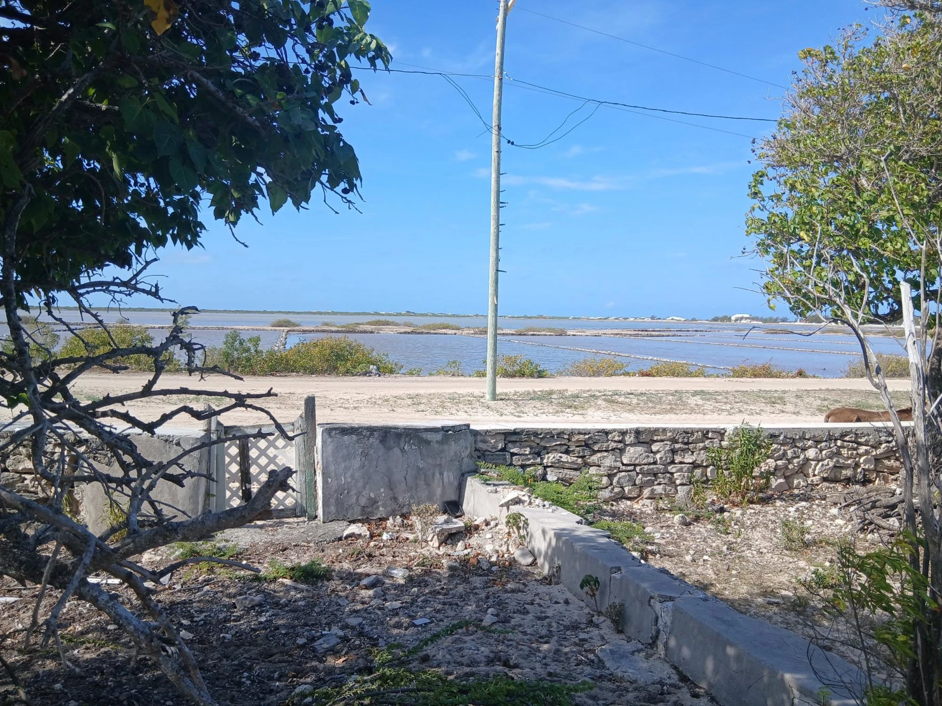 Salt Cay Cottage - Gallery image 8