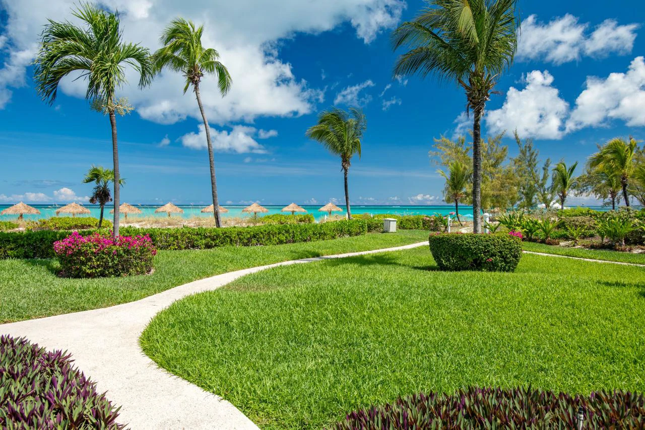 3115 - The Sands At Grace Bay - Gallery image 30