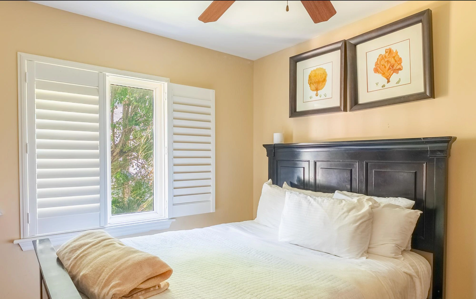 VILLA DEL MAR B201 - Gallery image 8