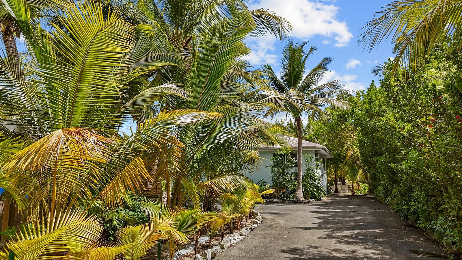 Perfect Leeward Turnkey Property - Gallery image 36