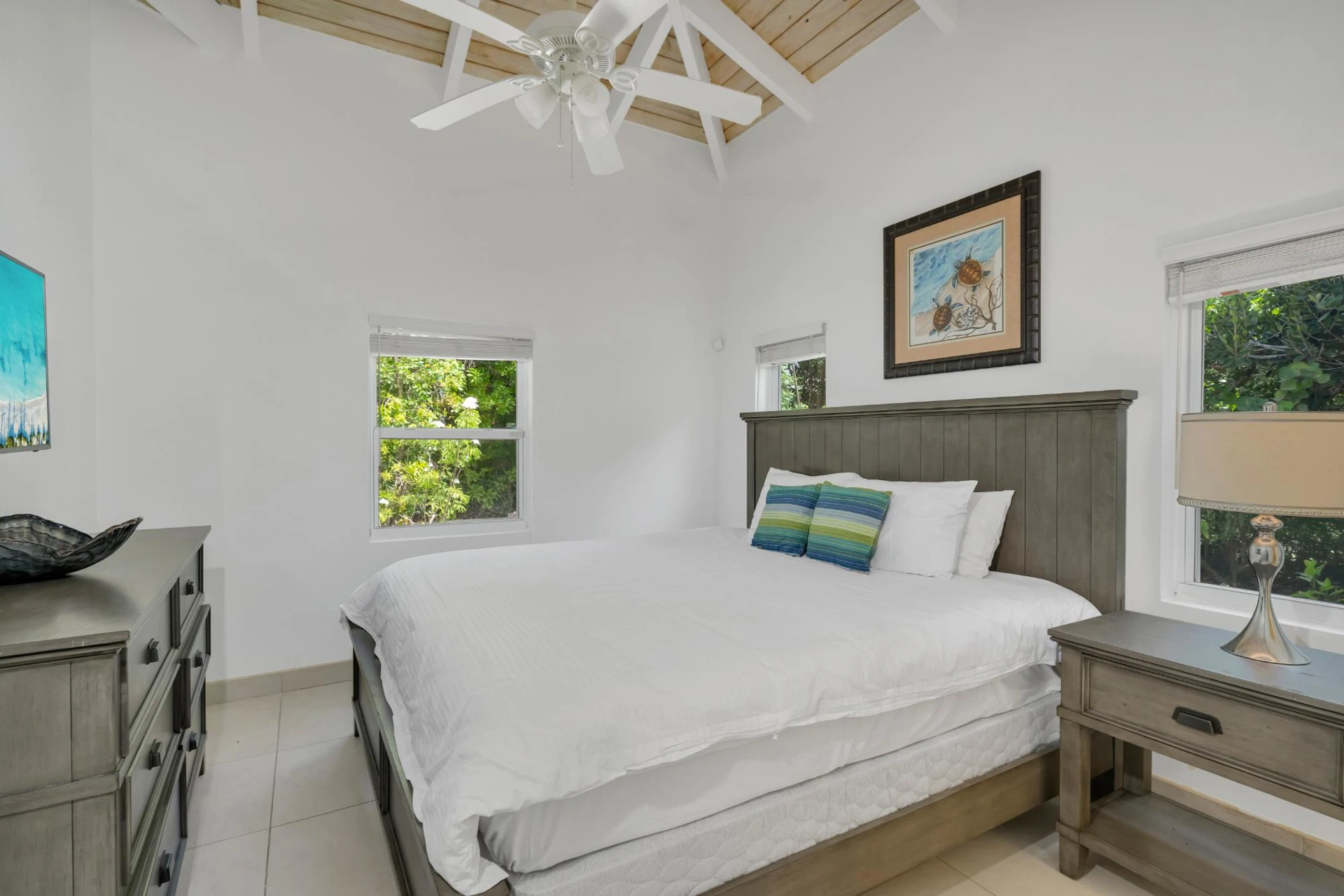 Seagrape Villa on Night Jar Road, Leeward - photo 17