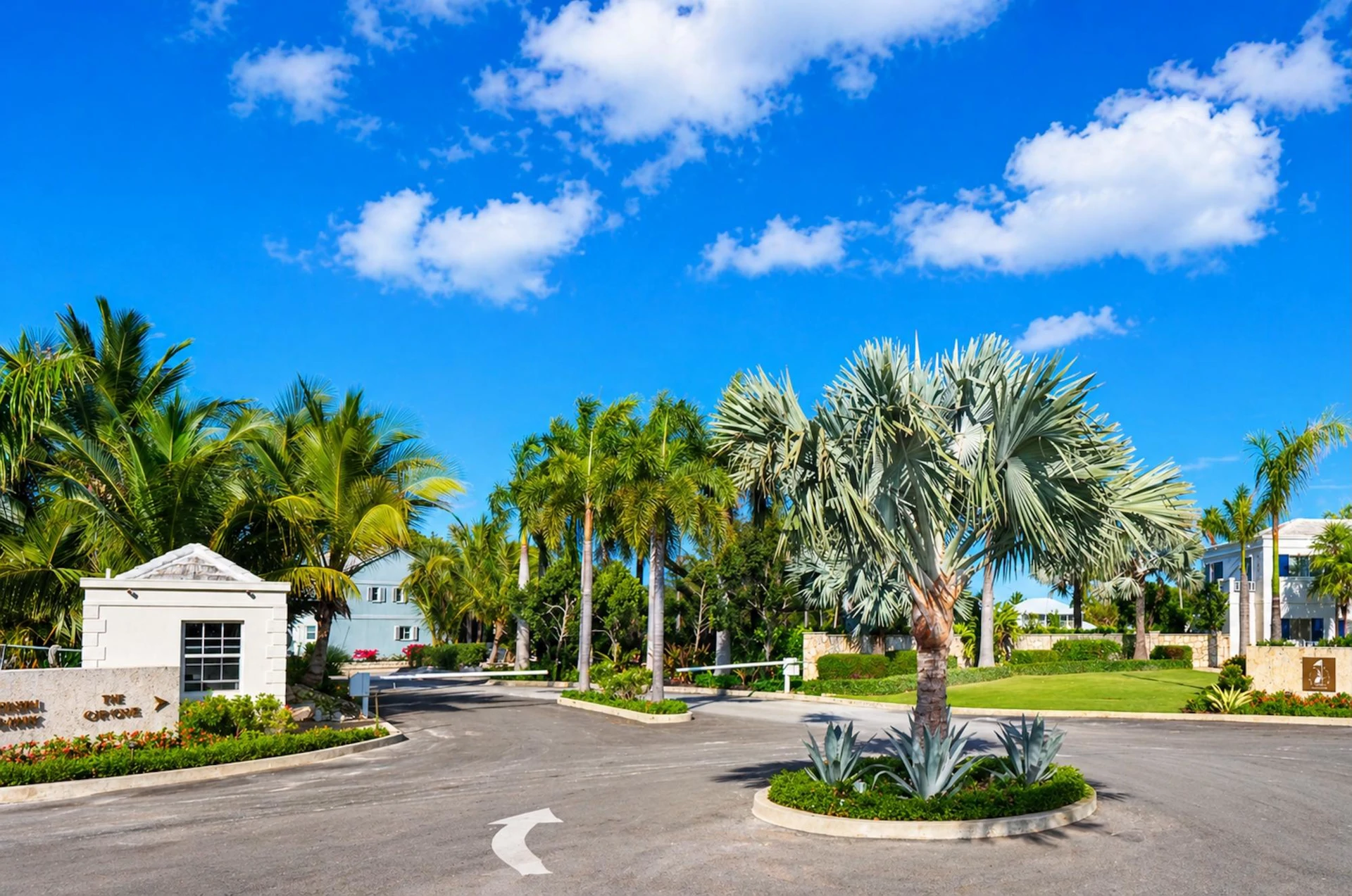 7 The Palms - Gallery image 11
