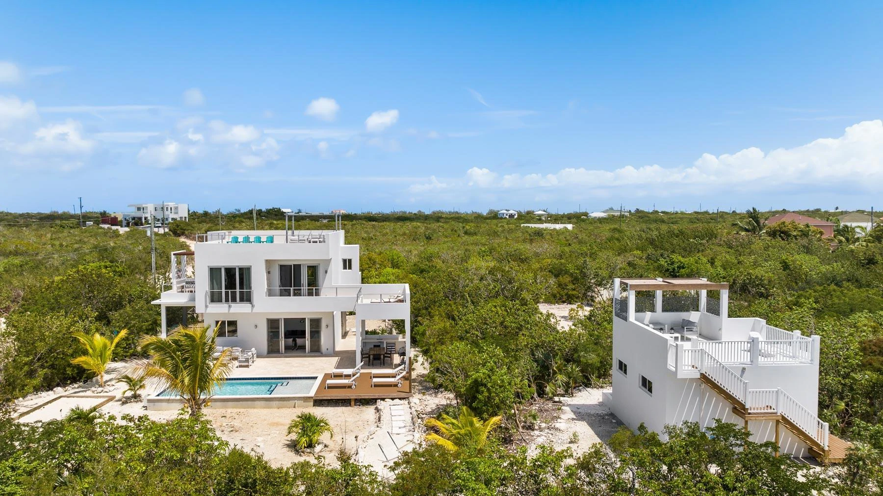 Blue Lotus & Golden Lotus