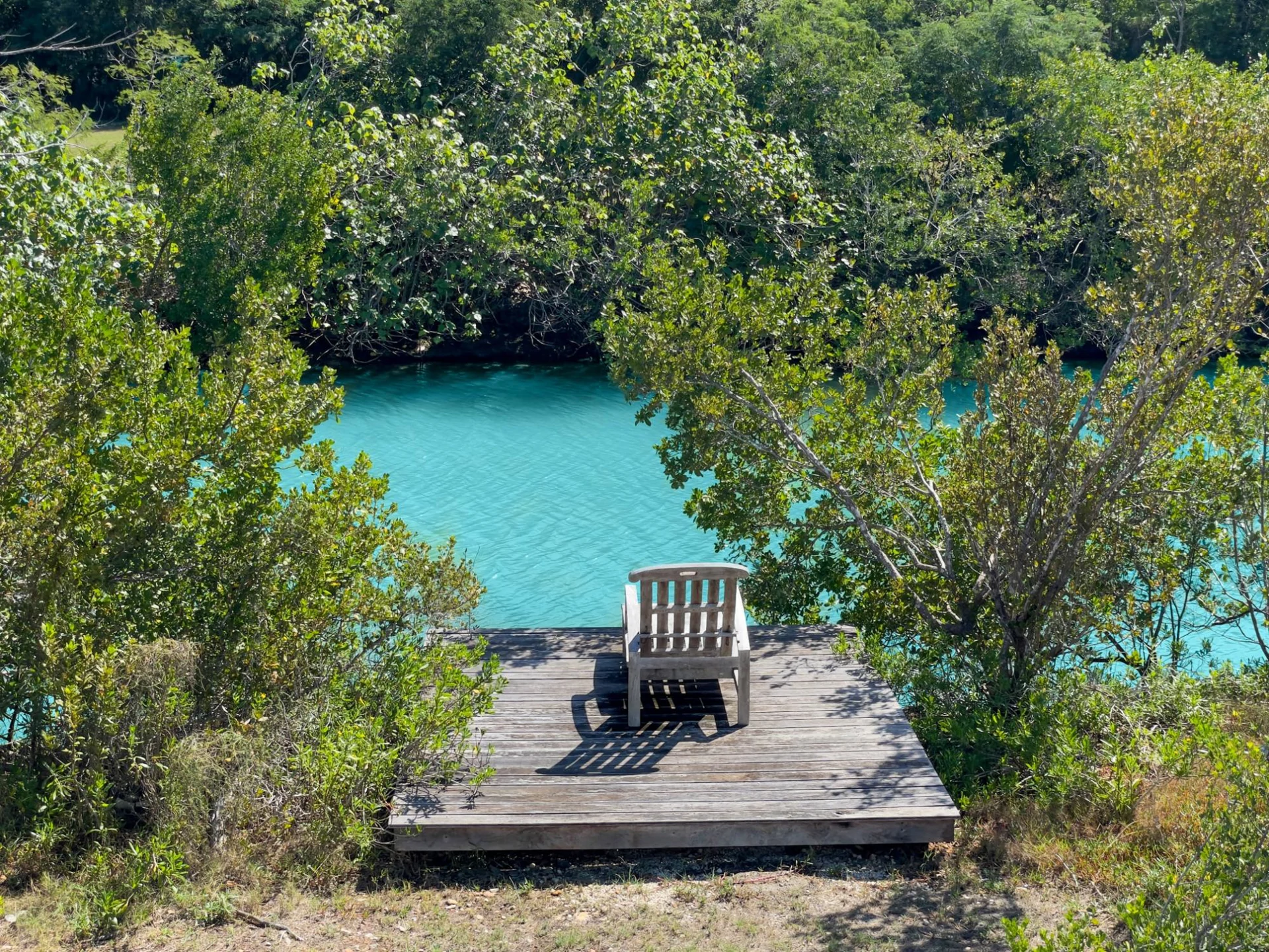 Dolphin Hideaway - Gallery image 22