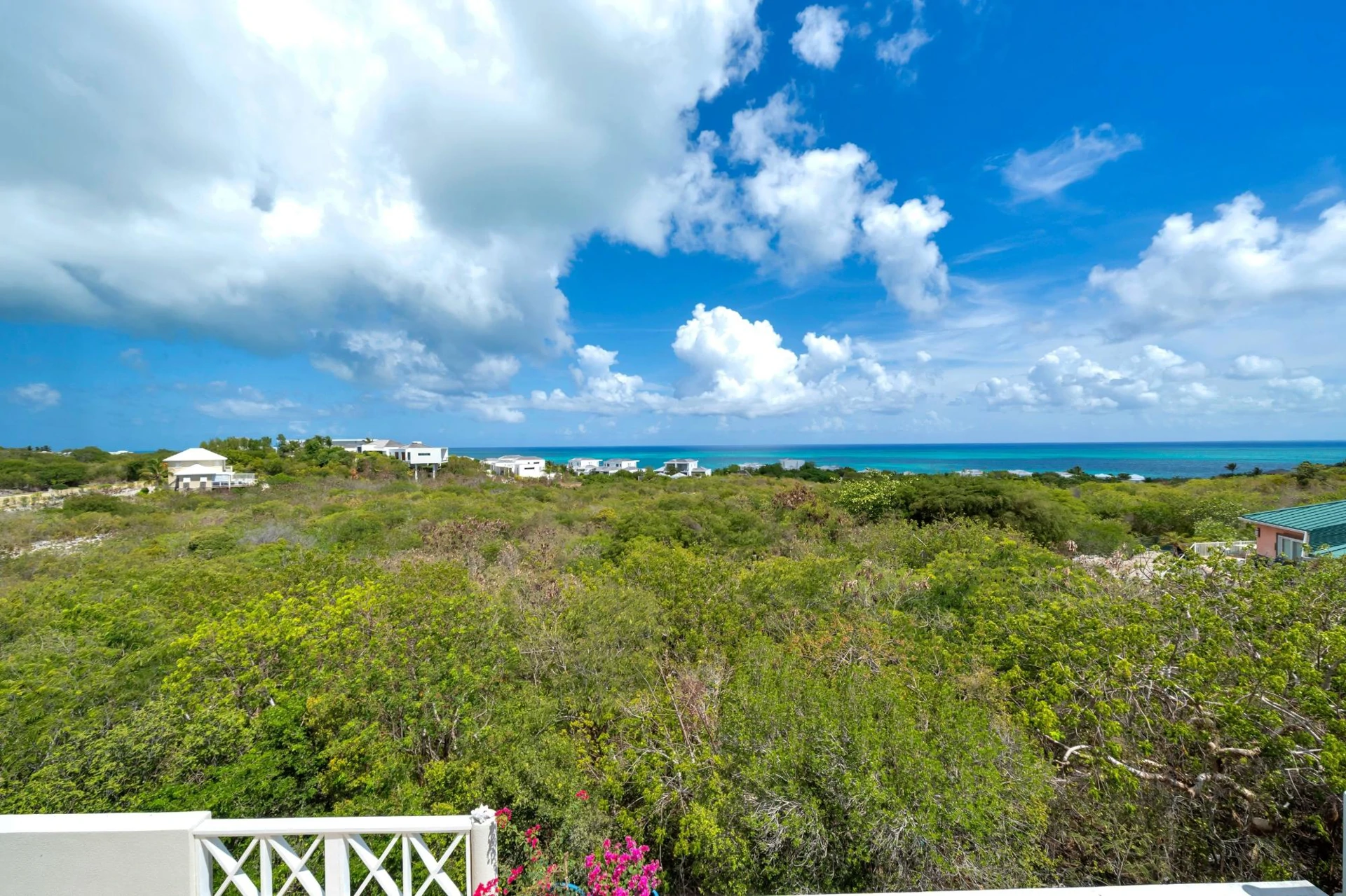 Caicos Blue Villa - photo 29
