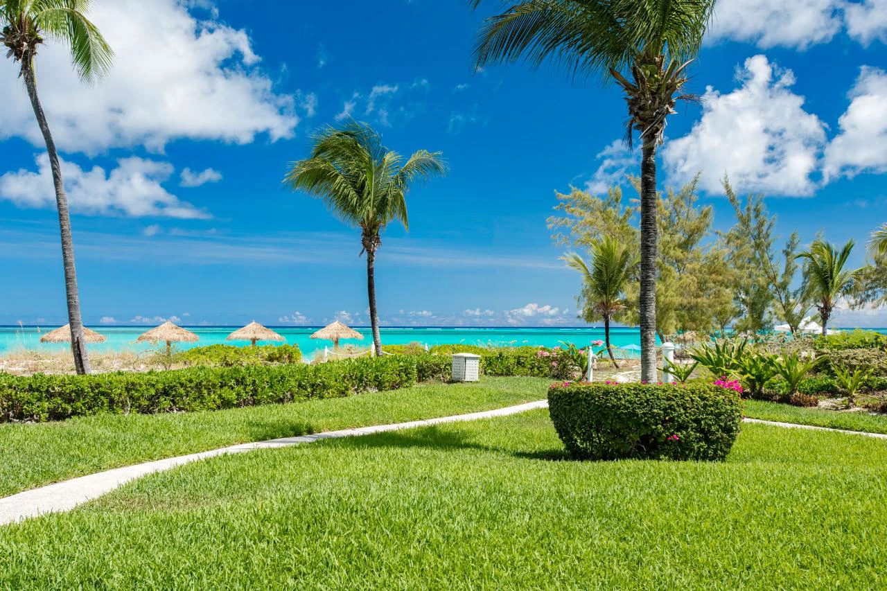 3115 - The Sands At Grace Bay - Gallery image 33