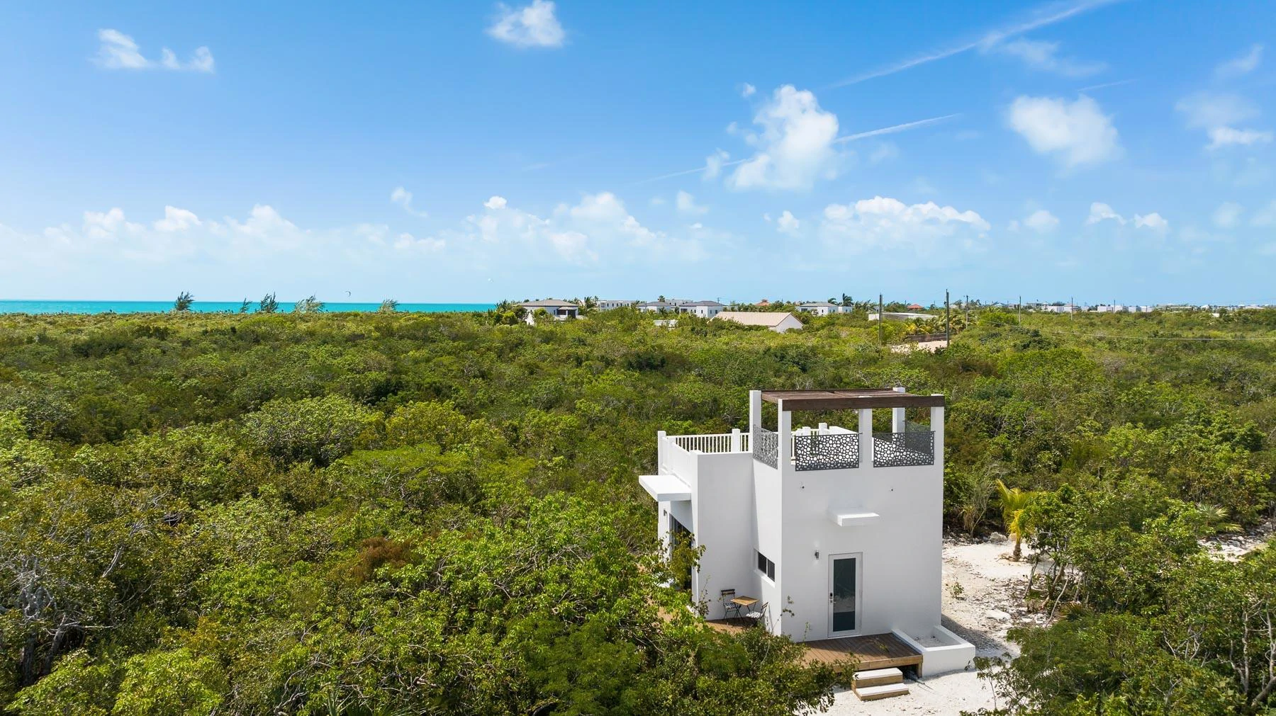 Blue Lotus & Golden Lotus - Gallery image 25