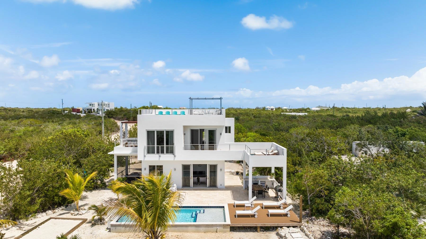 Blue Lotus & Golden Lotus - Gallery image 23