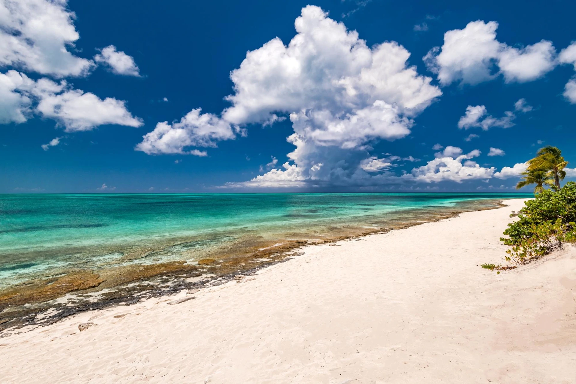 Beach Shack - Gallery image 12