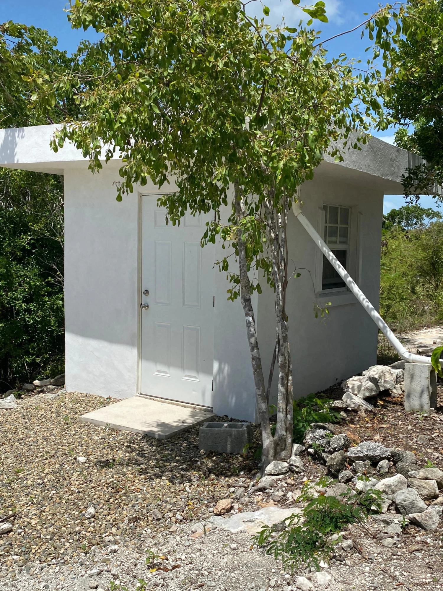 Marshalltown Cottage 2 - Gallery image 25