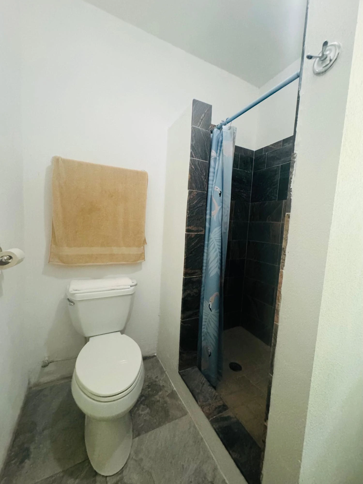 Marshalltown Cottage 2 - Gallery image 17