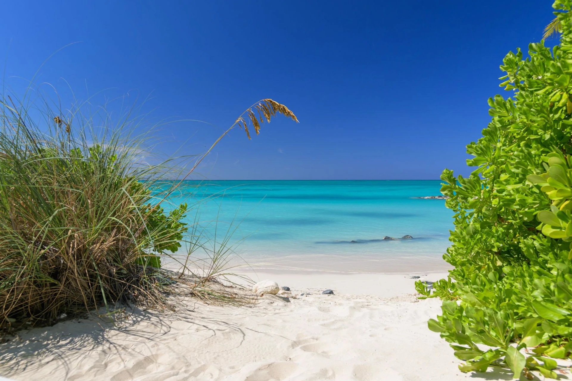 Beach Enclave Grace Bay - Villa 2 - Gallery image 43