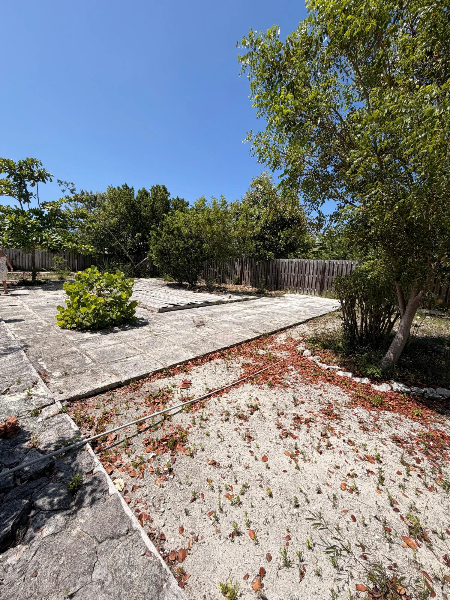 Belglade Gardens Home - Gallery image 8