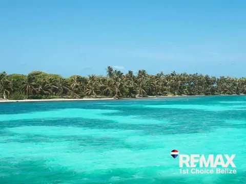8.83 Acre Lot on Turneffe Caye, Ready to Build