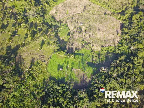 26.829 Acres of Prime Farm Land in Red Bank