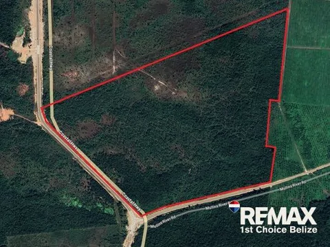186 Acres Ready for Development on Coastal Highway