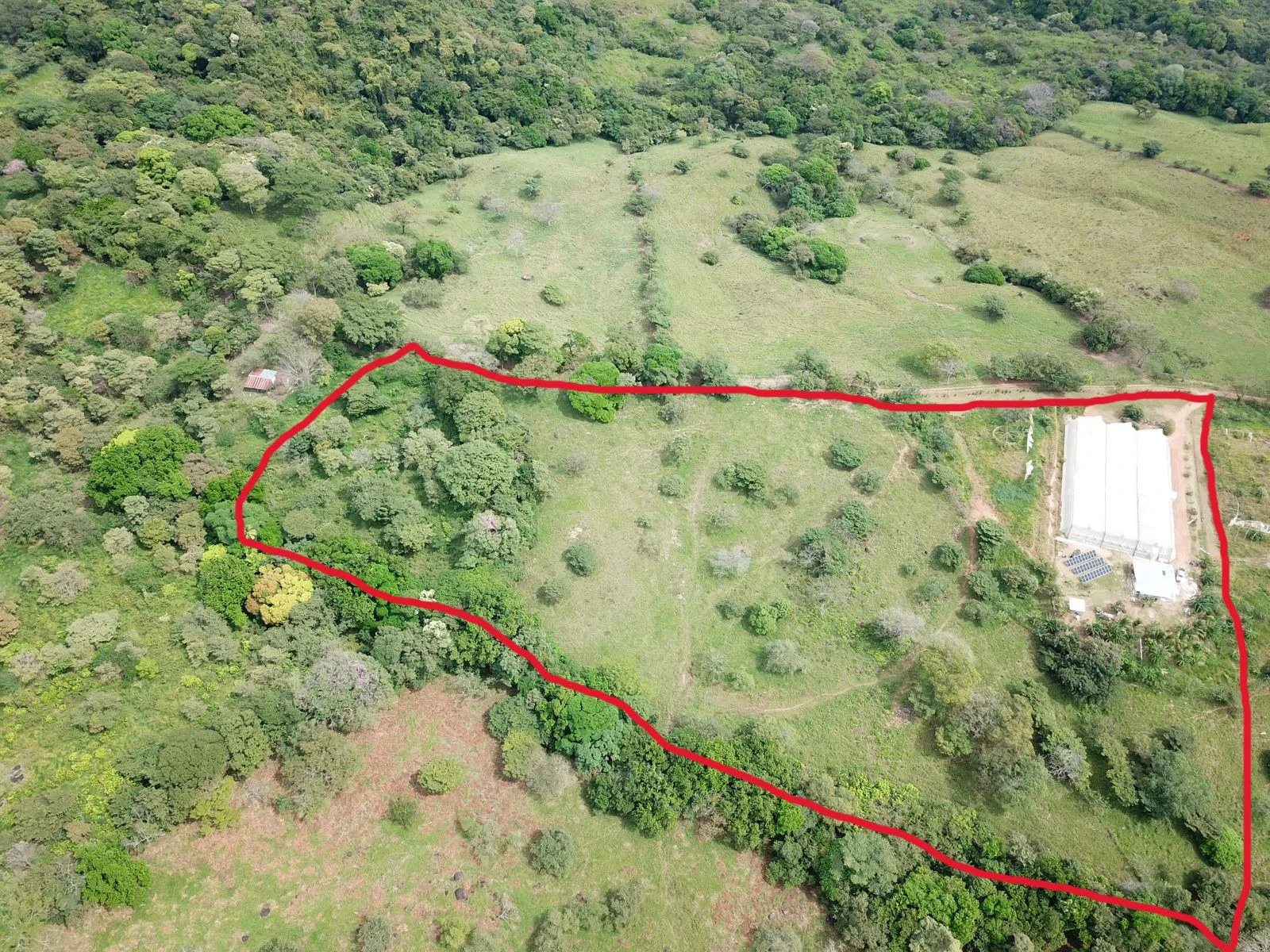 8.9-Hectare Greenhouse Farm | Santa Cruz de Chame, Panama - Gallery image 6
