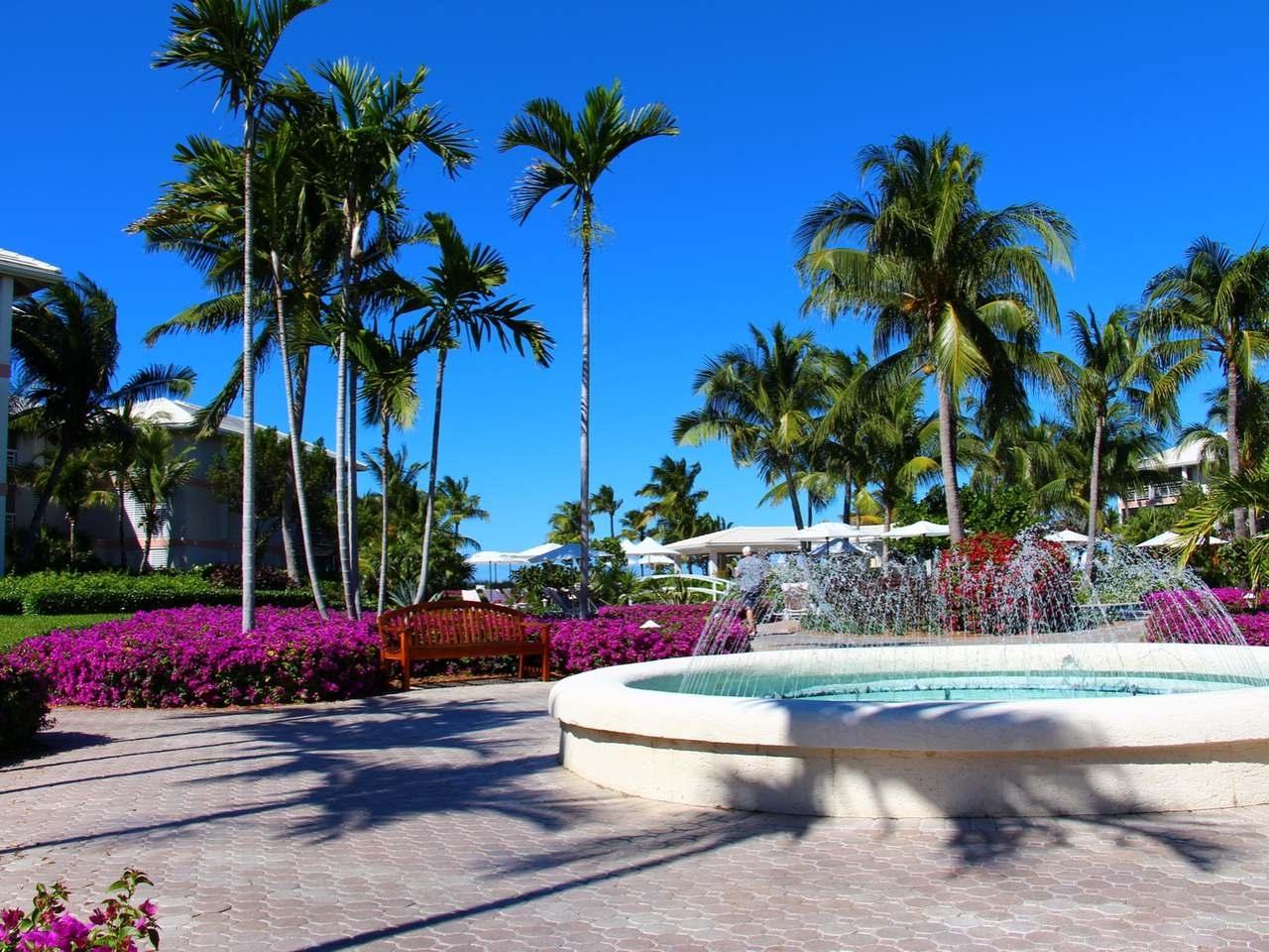 Ocean Club West - Gallery image 17