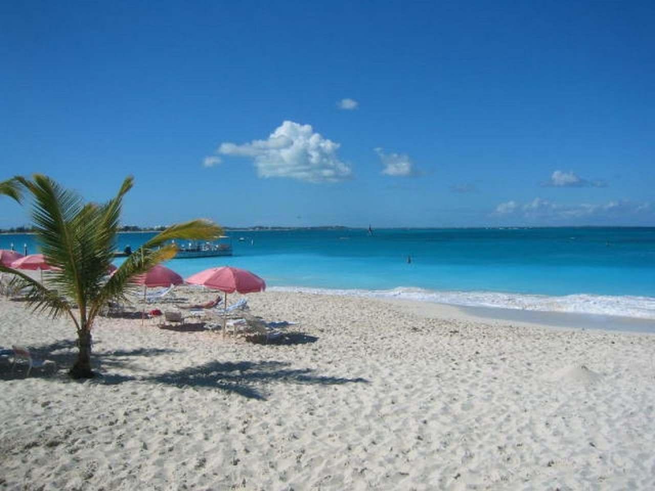 Ocean Club West - Gallery image 19