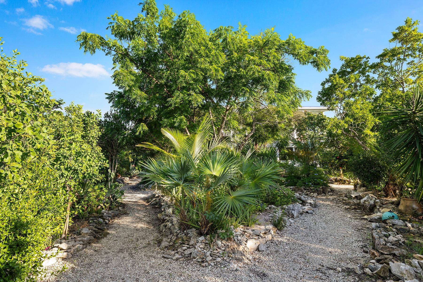 Canal Front Triplex- Great income opportunity - Gallery image 24